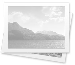 Alimlər müasir quşların əcdadına çevrilən lələkli dinozavrın sirrini açıblar